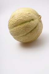 Melon on light background