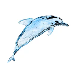 Abwaschbare Fototapete Delfine Wasserdelfin