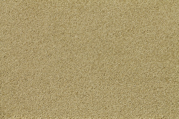 close-up view on amaranth seeds