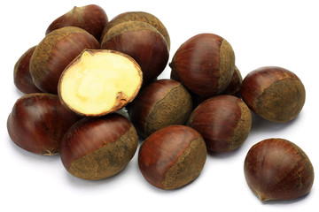 chestnut