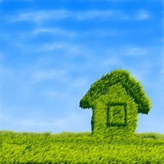 Green grass field house