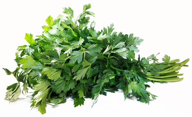 Fresh parsley on white background