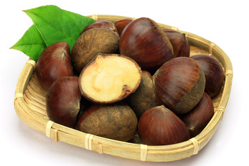 Obraz premium chestnut