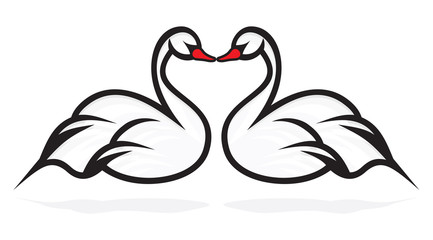 swans