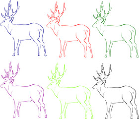 Illustration of deer