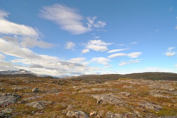 Summer rocky mountain landscape