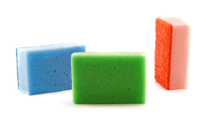 three sponges are isolated