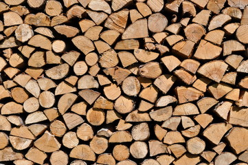 Firewood