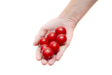 Tomatoes in a man's hand on a white background