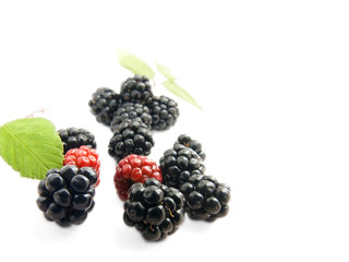 brambleberry
