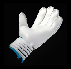 White Goalkeeper Glove Palm