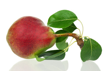 Ripe pear
