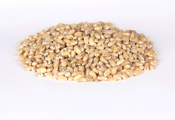 Barley isolated