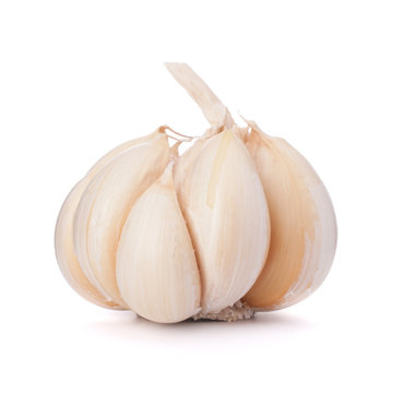 garlic bulb