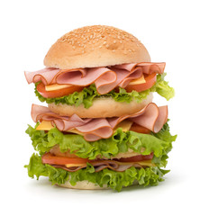 Junk food hamburger