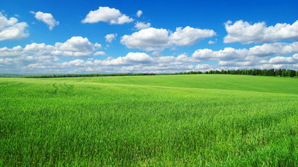 field