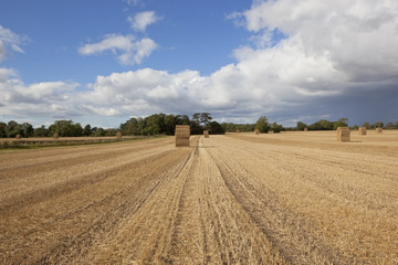 square straw bale stacks