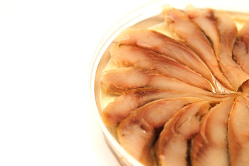 herring in oil on a white background