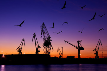 Gruas