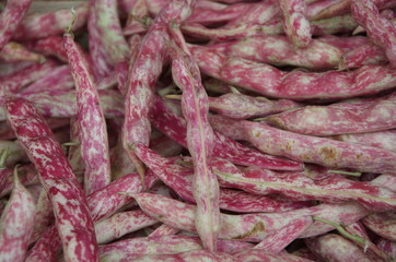 pinto beans closeup