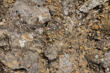 mountain stone with moss in the background