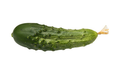 cucumber on white background