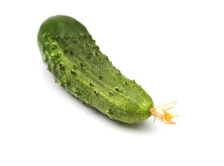 cucumber on white background