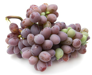 Grapes on white background