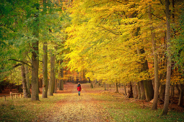 Walking in the autumn park