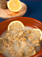 Clams