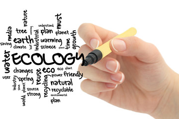 Ecology and natur word cloud