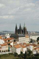 Fototapeta premium Prague Skyline