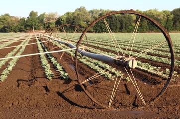 Irrigation Equipment in Agricultural Field