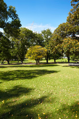 Garden in CBD area