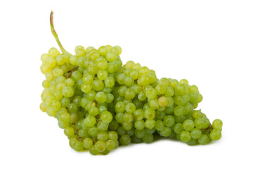 Bunch of green grapes