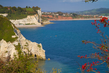 Beer and Seaton coastline Devon