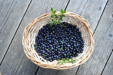 blueberry in basket