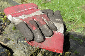 Dirty Gardening Gloves