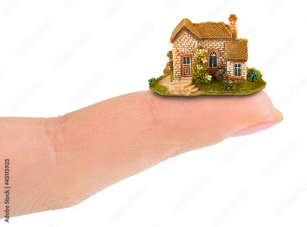 Canvas Prints Finger and house