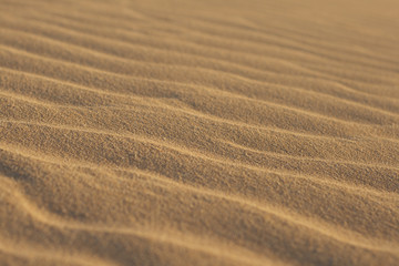 Short depth of field photo of sand ripples