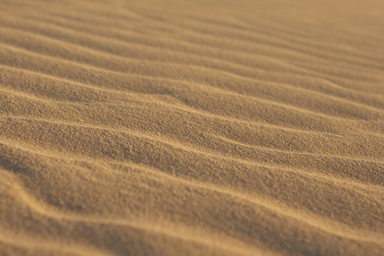 Short depth of field photo of sand ripples