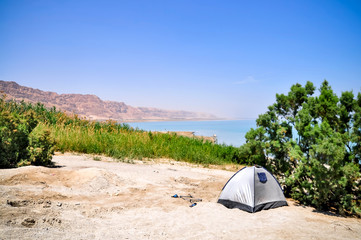 Oasis near the Dead Sea