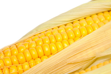 corn comb close up