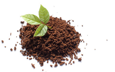 jeune pousse de plante sur tas de terre terreau