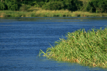 Murchison Falls NP, Uganda, Africa