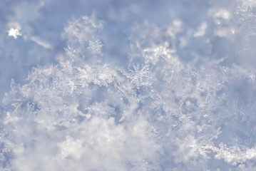 Neuschnee, Schneekristalle, Schnee, Nahaufnahme, Deutschland, Europa