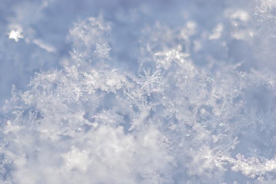 Neuschnee, Schneekristalle, Schnee, Nahaufnahme, Deutschland, Europa