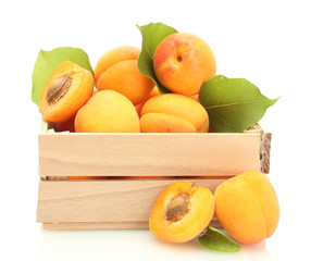 ripe apricots with green leaves in wooden box isolated on white