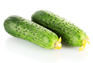 Fresh cucumbers isolated on white.