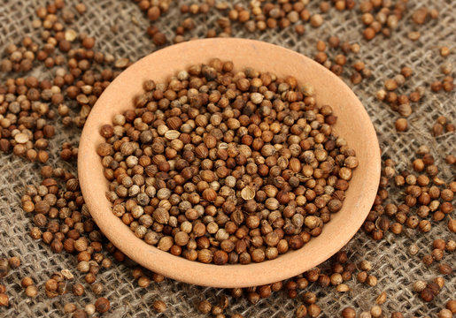 Heap coriander seeds in bowl on canvas background close-up